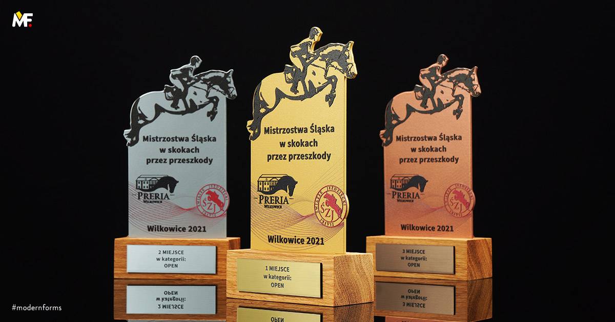 Trophies Sport Other for sport Brown Custom Gold One-sided Silver Standard Steel Wood 