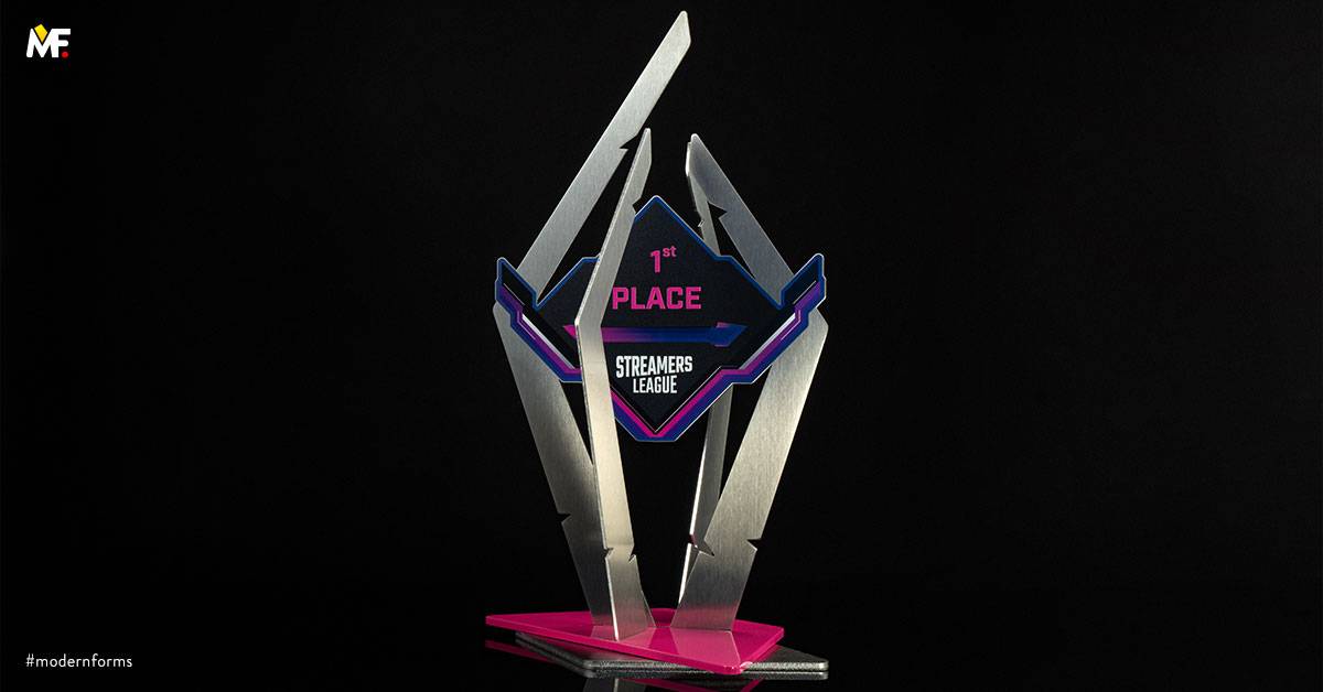 Trophies Sport E-sport Pink Premium Stainless steel 