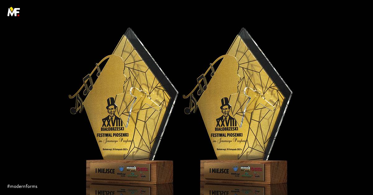 Trophies Commemorative Special awards Custom Gold One-sided Plexiglass Premium Steel Wood 