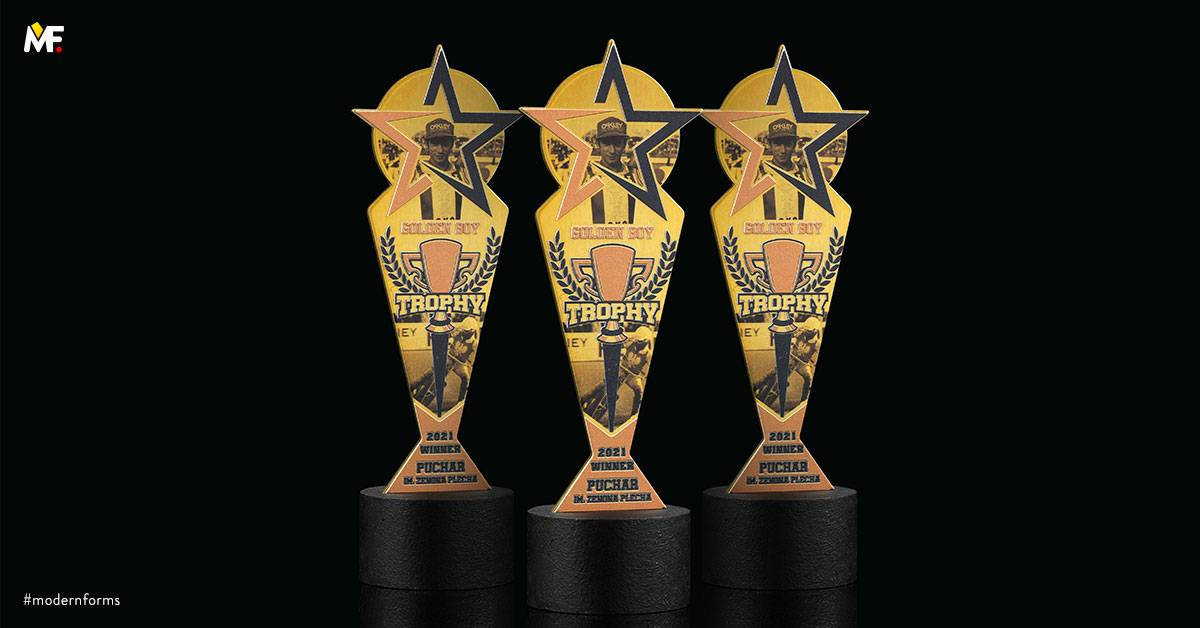 Trophies Commemorative Outstanding achievements Custom Gold Premium Stainless steel Wood 