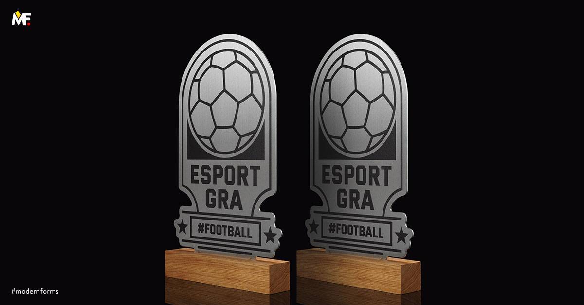 Trophies Sport E-sport Custom Exclusive One-sided Silver Stainless steel Wood 