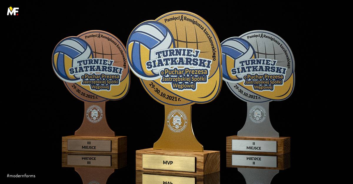 Trophies Sport Volleyball Custom Gold One-sided Standard Steel Wood 