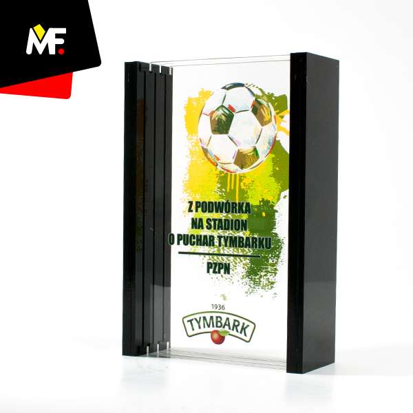 Trophies Sport Football Colourless Football Plexiglass Premium Rectangular Red Sport Trophies 