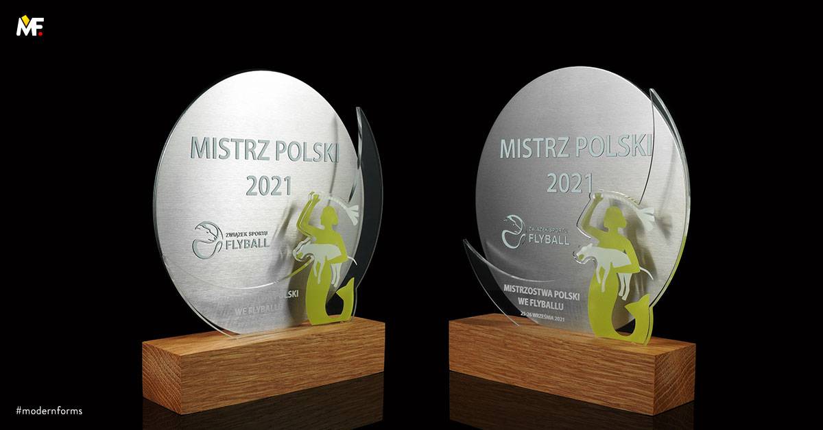 Trophies Sport Other for sport Custom One-sided Plexiglass Stainless steel Standard Wood 