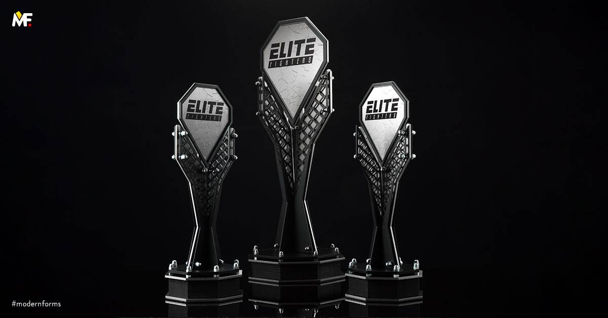 Trophies Sport Martial arts Black Custom Exclusive One-sided Silver Stainless steel Steel Wood 